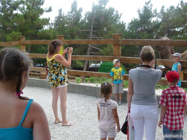 22128_p1010941.jpg